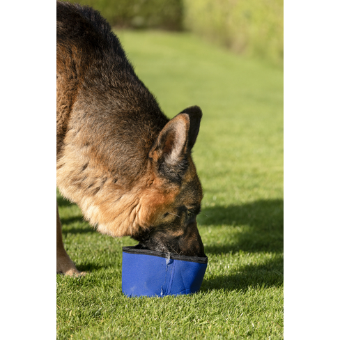 Охлаждающая дорожная миска для воды Cooling Bowl Fresk Nord