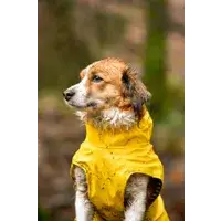 FLAMINGO Дождевик RAINCOAT CIRO Yellow 35см