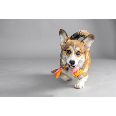 Jucarie din cauciuc Puppy Rings Taupe