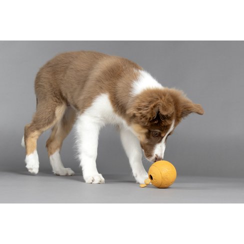 Minge din cauciuc Puppy Rhea Treats Ball Ass.