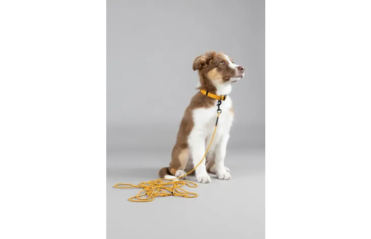 Поводок нейлон. PUPPY DOLLY OCHRE 5m 4mm