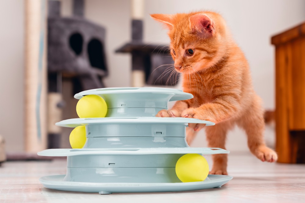 BEEZTEES игрушка для кошек Play Tower KITTEN FUN Mint