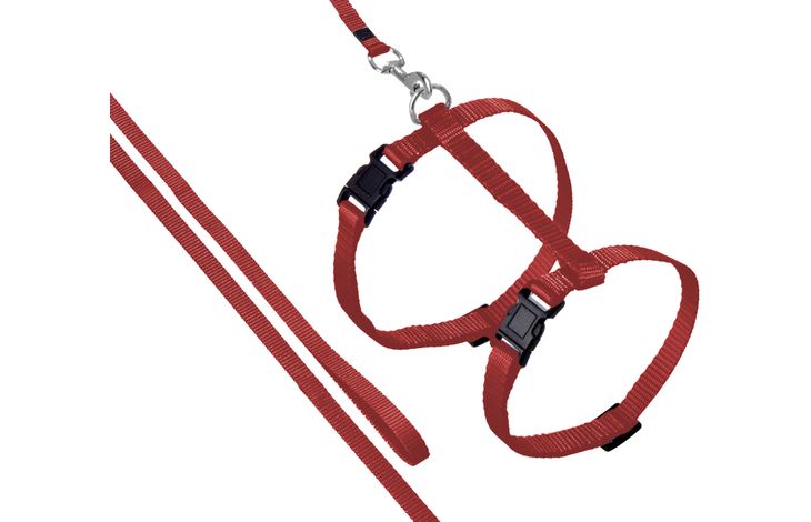Cumpara  Muniție - Flamingo Шлейка с поводком ZIGGI Red 20-35cm ..