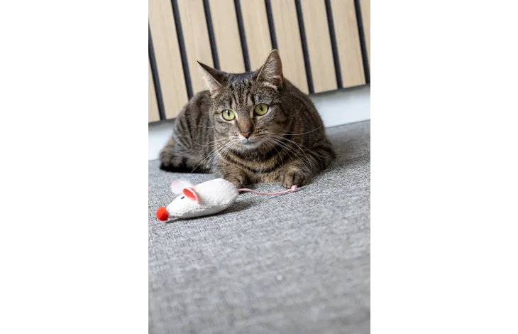 Flamingo игрушка для кошек LOVU MOUSE BEIGE 9.5*5.5*4cm