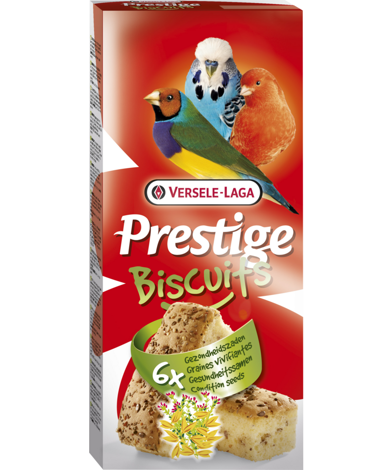 BISCUITS Bird Condition Seeds 6pc..