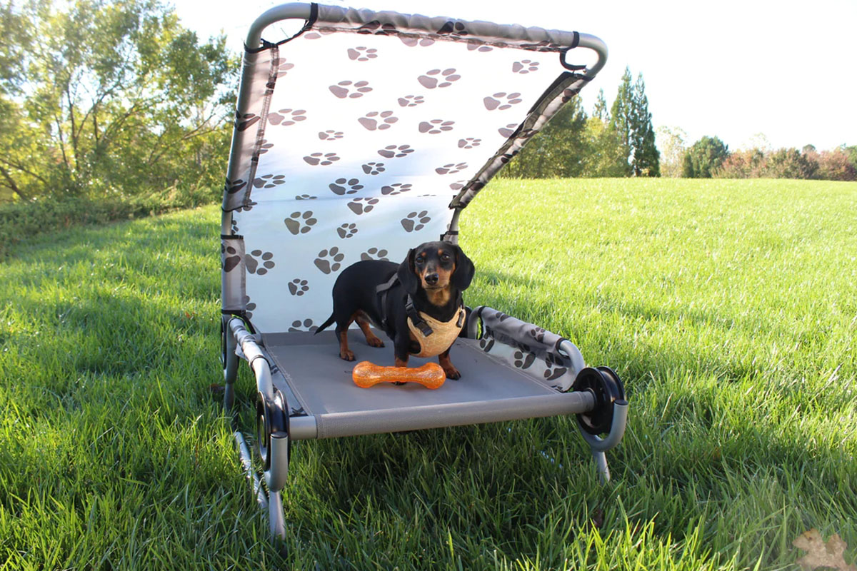 Disc-O-Bed Dog Bed S 66cm