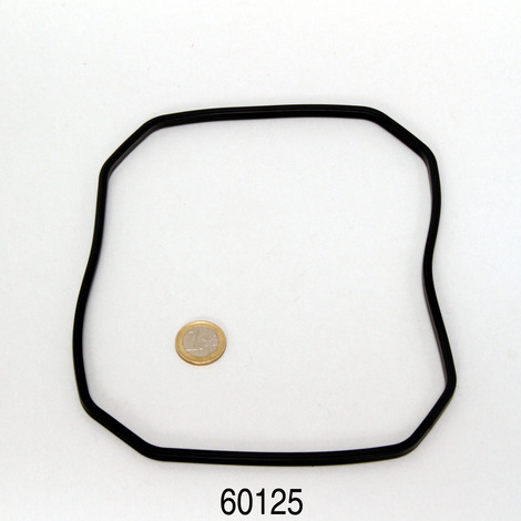 JBL CP e15/1900/1,2 Pump head rubber gasket