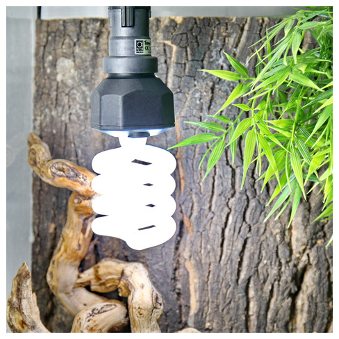 JBL ReptilDesert UV light