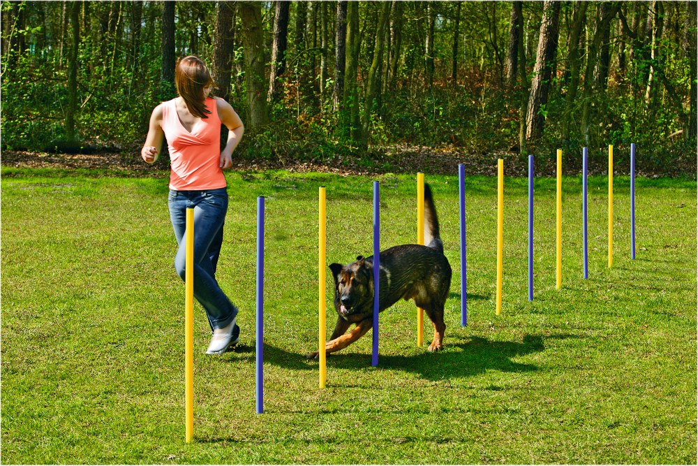 BEEZTEES палки для слалома AGILITY SLALOM SET