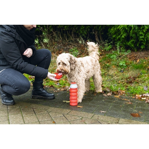 BZ силикон. бутылка для воды KAE 550ml