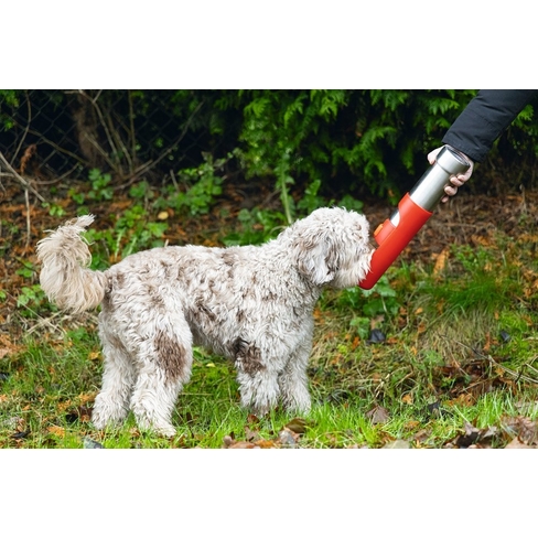 BZ стальная бутылка для воды LOE 532 ml