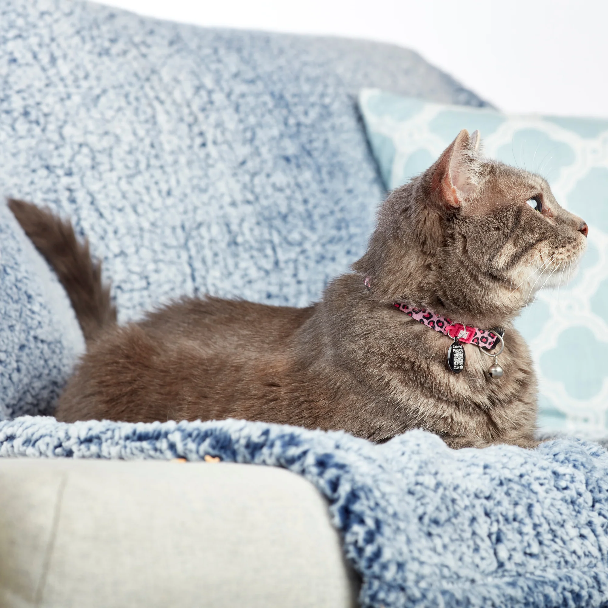 MAX & MOLLY Ошейник для кошек Smart ID Cat Leopard Pink