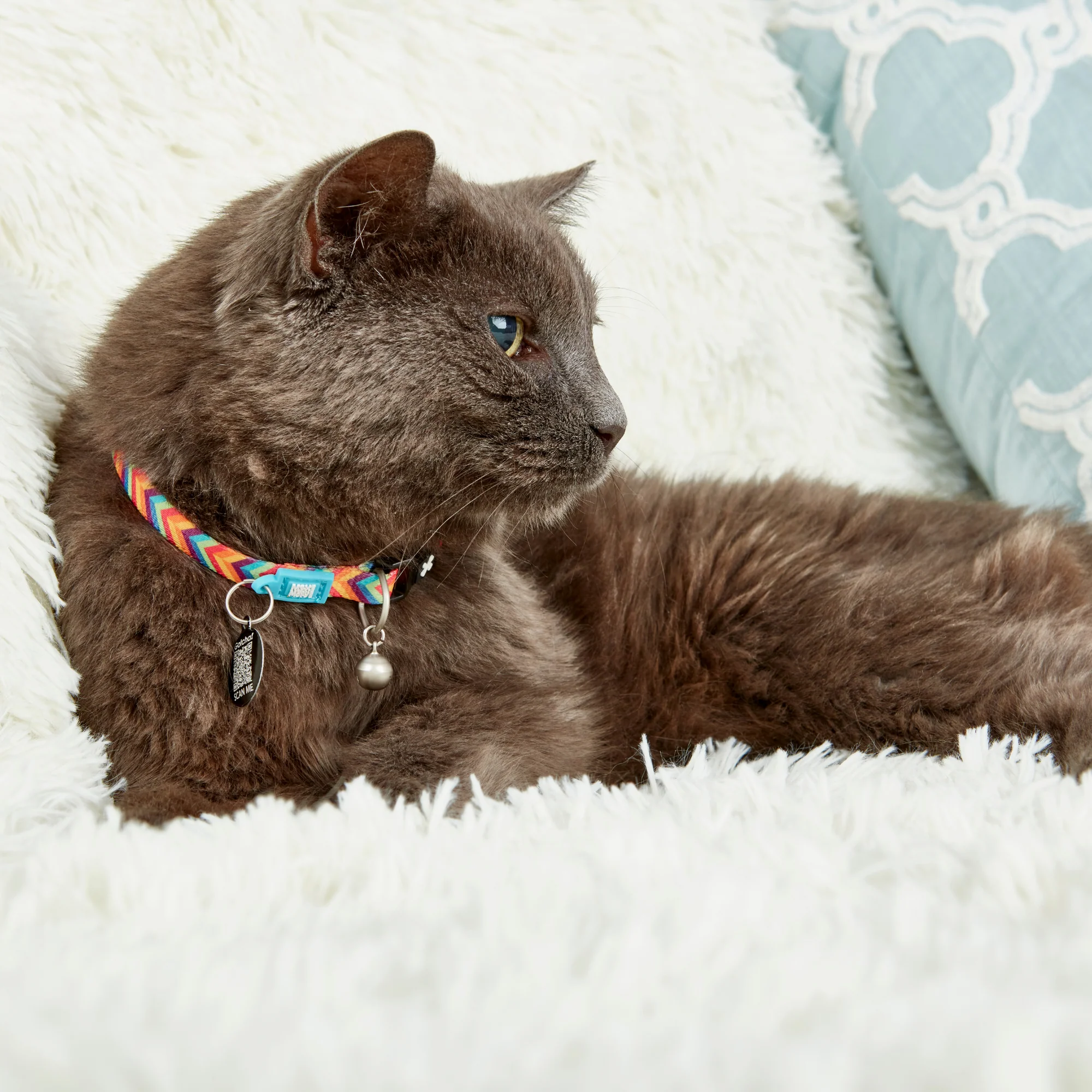 MAX & MOLLY Ошейник для кошек Smart ID Cat Summertime