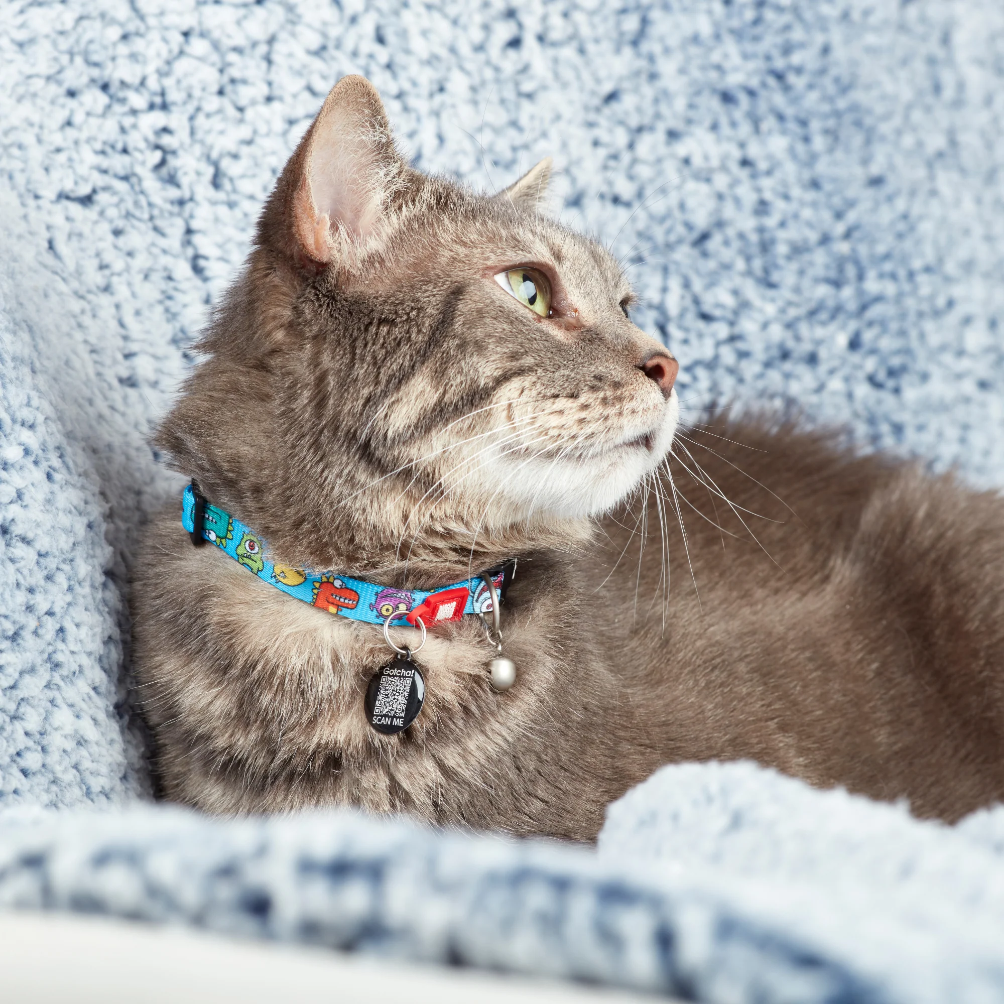 MAX & MOLLY Ошейник для кошек Smart ID Cat Little Monsters