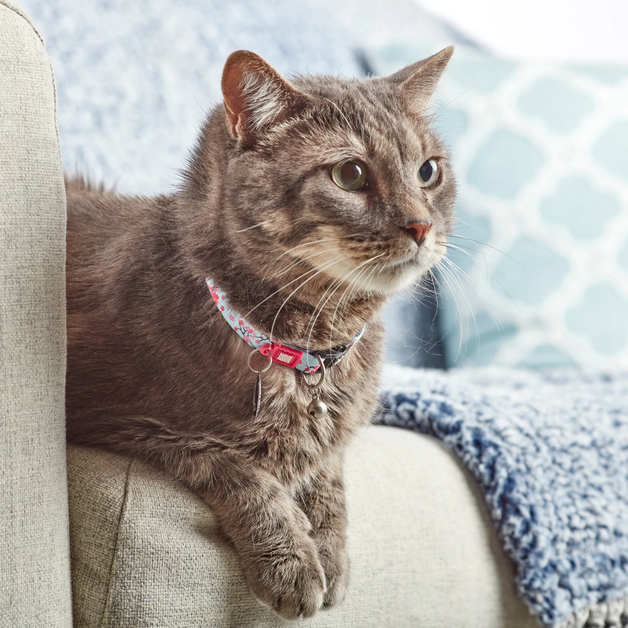 MAX & MOLLY Ошейник для кошек Smart ID Cat Cherry Bloom