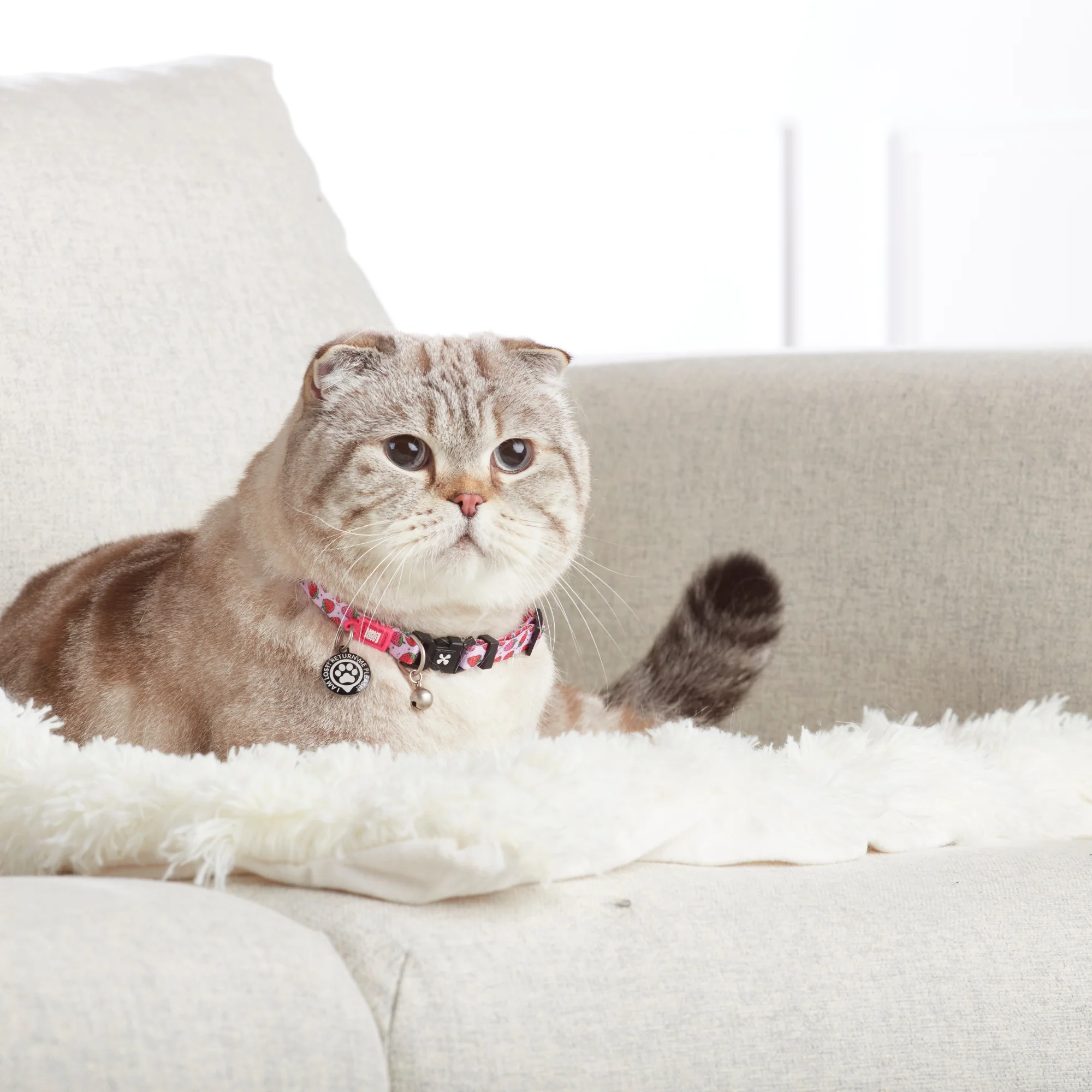 MAX & MOLLY Ошейник для кошек Smart ID Cat Strawberry Dream