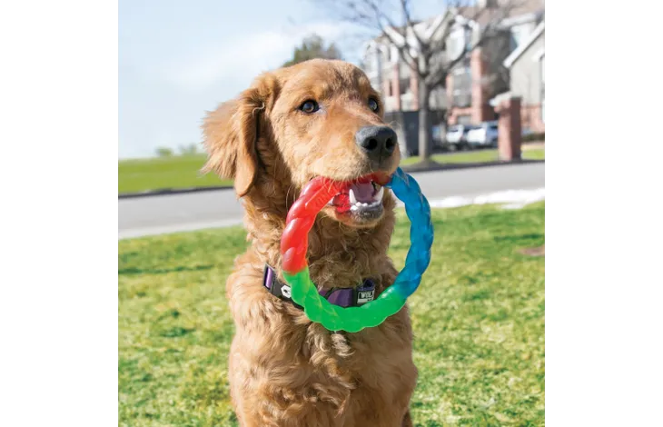 Flamingo игрушка резиновая KONG® TWISTZ RING 27,9cm