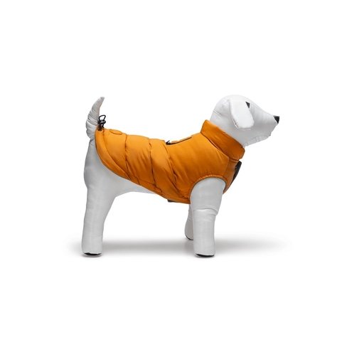Geacă WISTI Orange