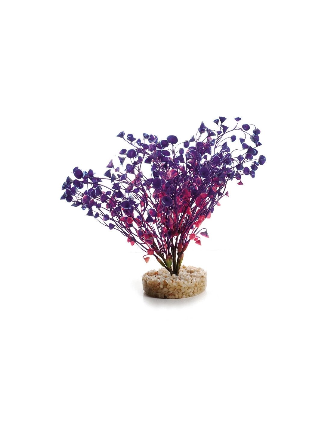 Растение пластик. Aqa Friend Wild Plant