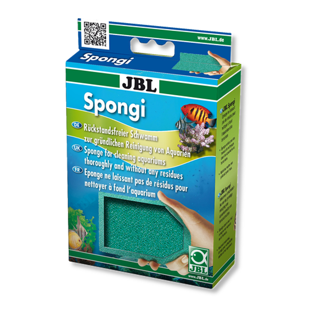 JBL Spongi..