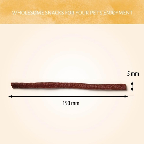 Antos WILD Sticks Horse