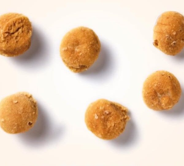 Antos Insecta Nibbles Musca Soldatului Neagră și Mărul