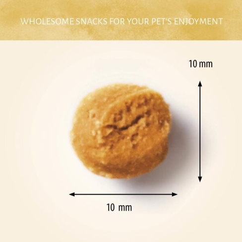 Antos Insecta Nibbles Musca Soldatului Neagră și Mărul