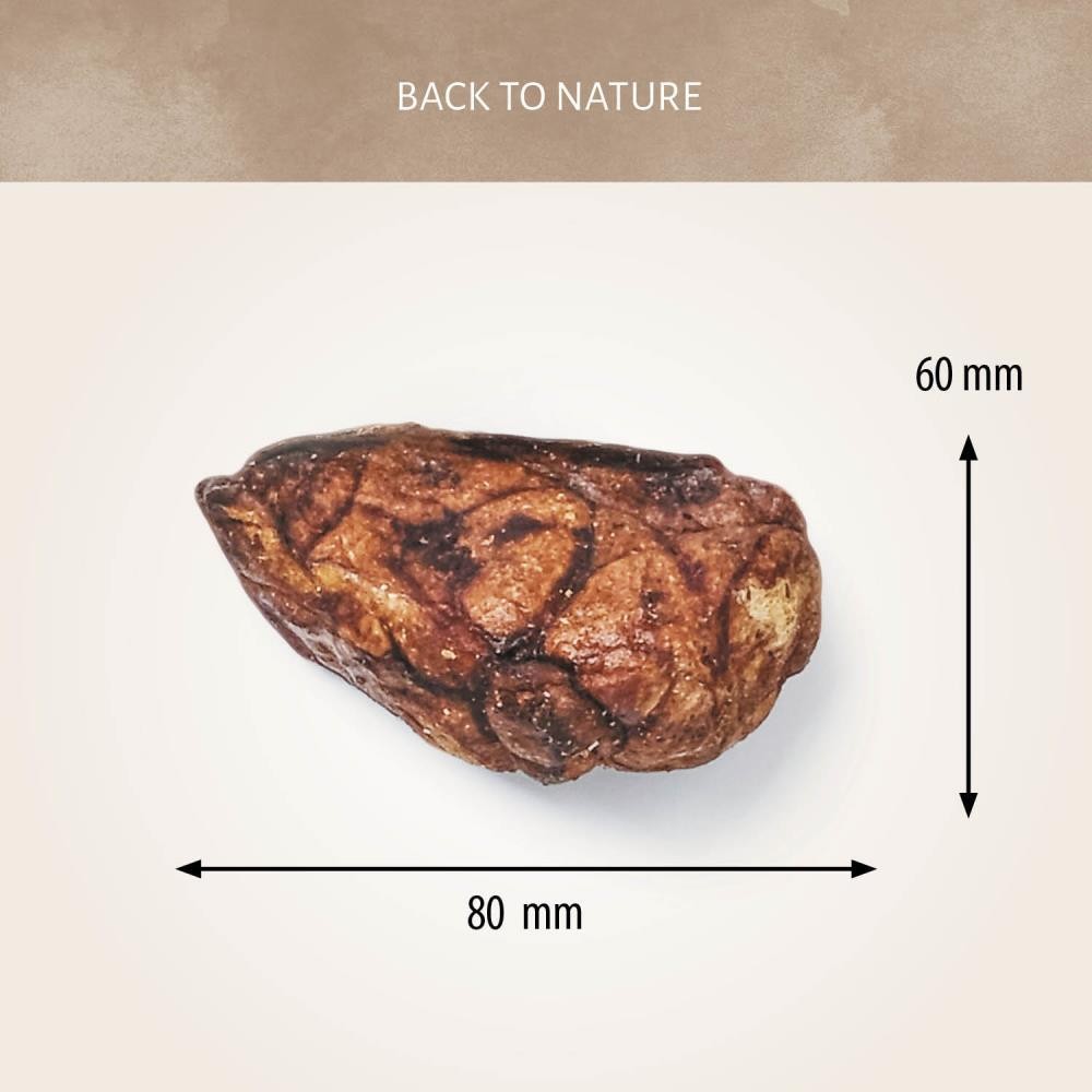 Antos Beef Lungs 100 gr