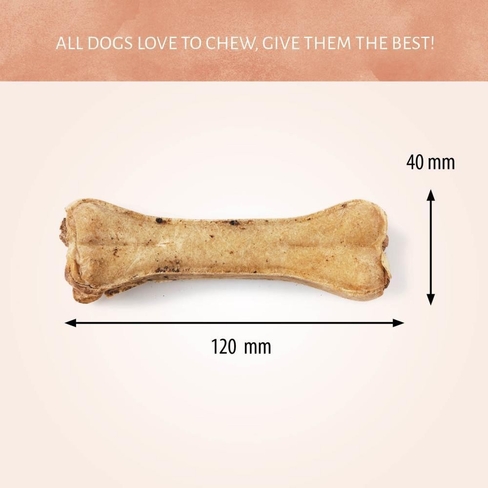 Antos Pressed Bone Pizzle 1pc