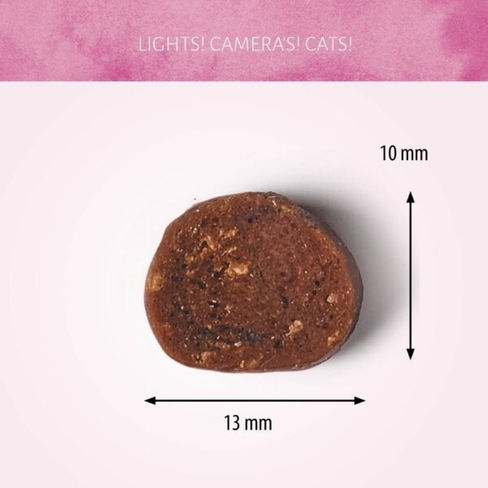 Antos Cat Treats Diced Beef