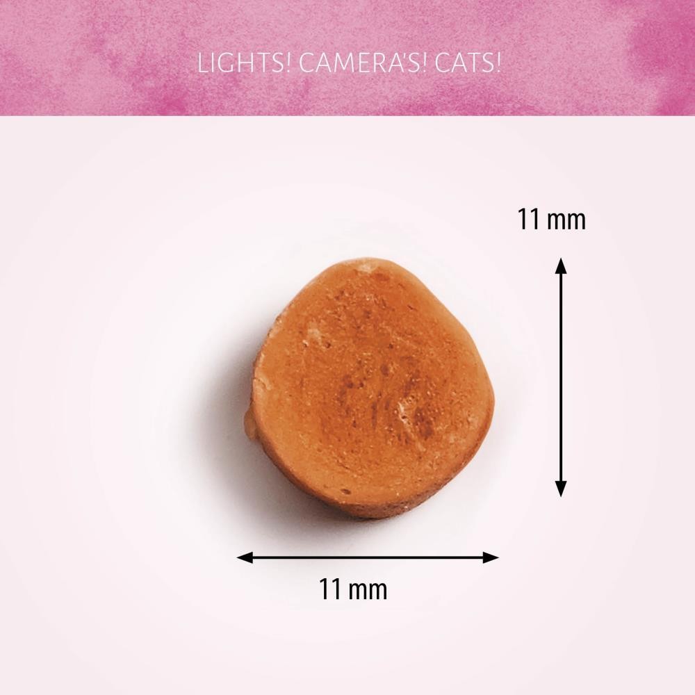 Antos Cat Treats Steamed Shrimp 50 gr