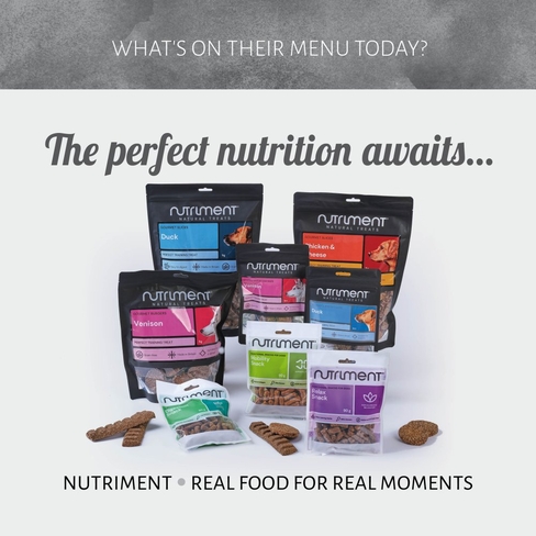 Antos Nutriment Digestion Snacks