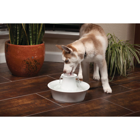 PETSAFE AVALON Поилка-фонтан для домашних животных