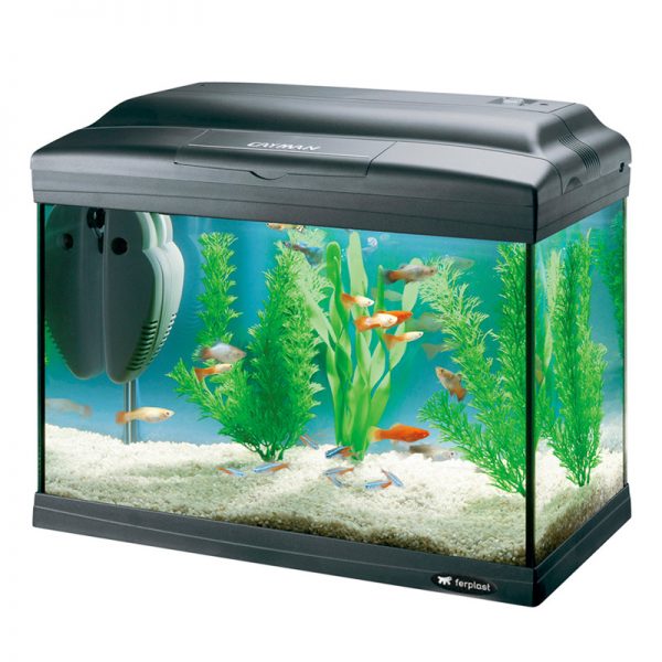 Acvariu CAYMAN 40 CLASSIC