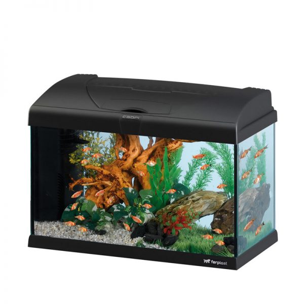 Acvariu CAPRI 50