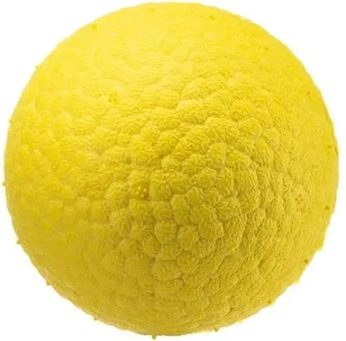 FERPLAST chew boing rugby..