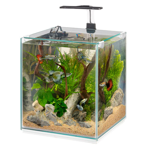 Tonga 30 – acvariu