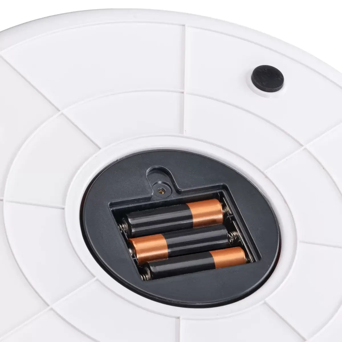 FERPLAST Alimentator automat ROULETTE (6 mese)