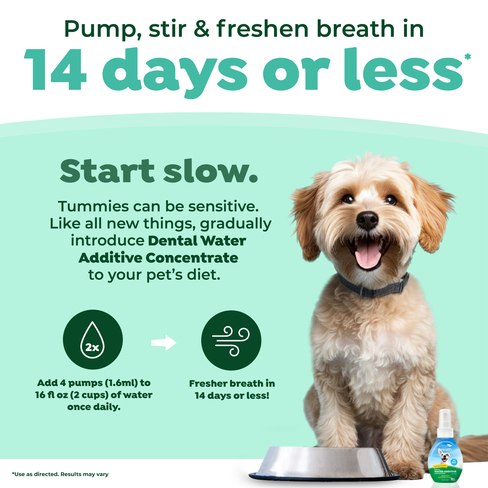 Fresh Breath Oral Care Drops for Dogs