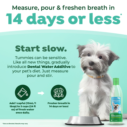 Fresh Breath Dental Health Solution