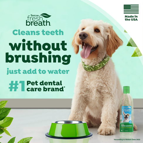 Fresh Breath Dental Health Solution
