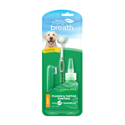 Fresh Breath Oral Care Kit