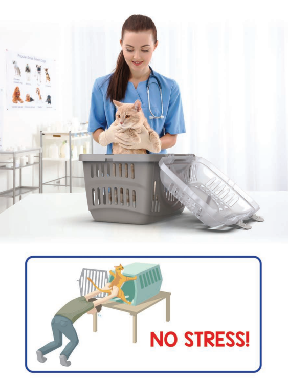 GEORPLAST Переноска пластиковая Rocket Classic Top open 49x33x33h cm