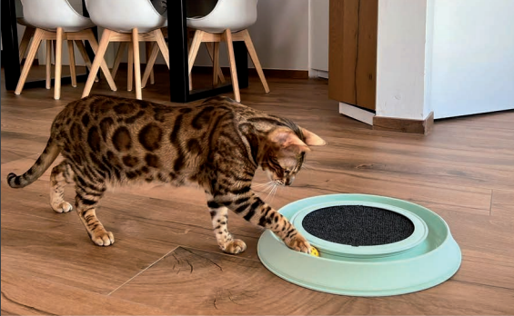 GEORPLAST HappyCat jucărie de carton pentru pisici