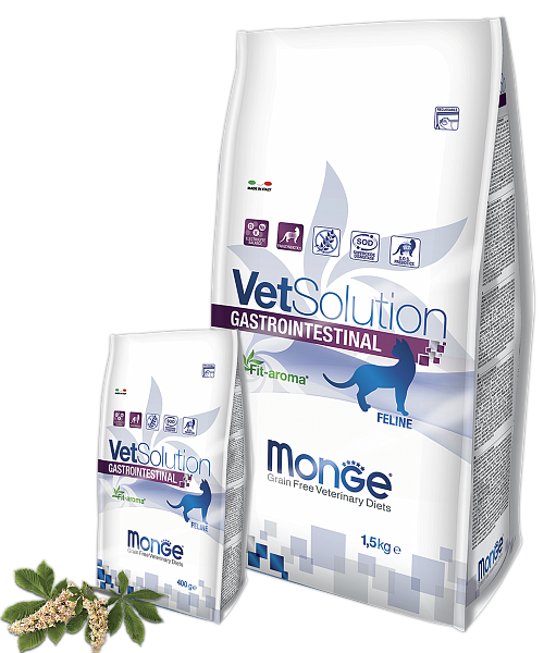 MONGE DRY VETSOLUTION Hrană intestinală uscată pentru pisici