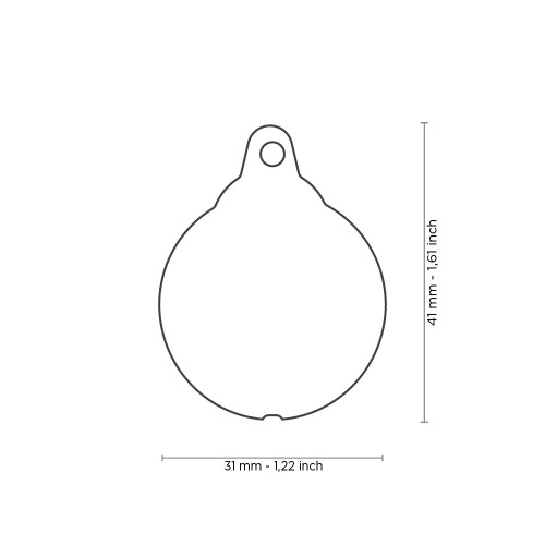 Медальон BIG LADYBUG CHARMS