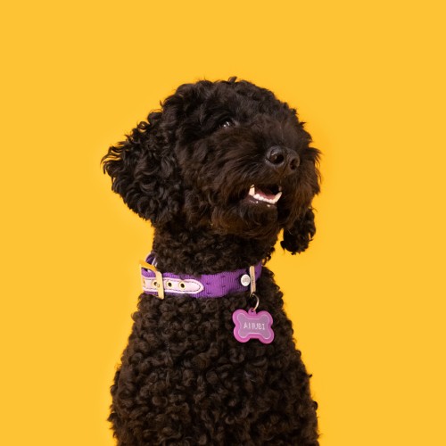 Медальон PURPLE PURPLE BONE ALU RUBBER