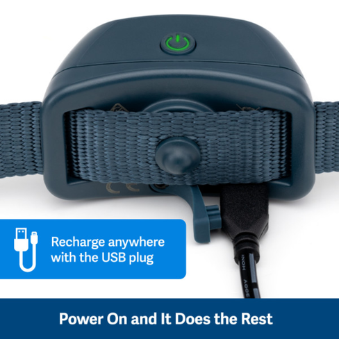 PETSAFE Звуковой ошейник для контроля лая