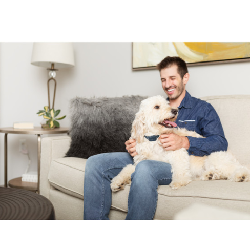 PETSAFE Звуковой ошейник для контроля лая