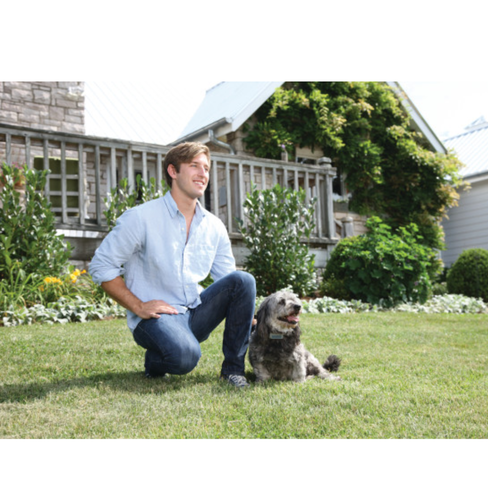 PETSAFE Ультразвуковой ошейник для контроля лая EU